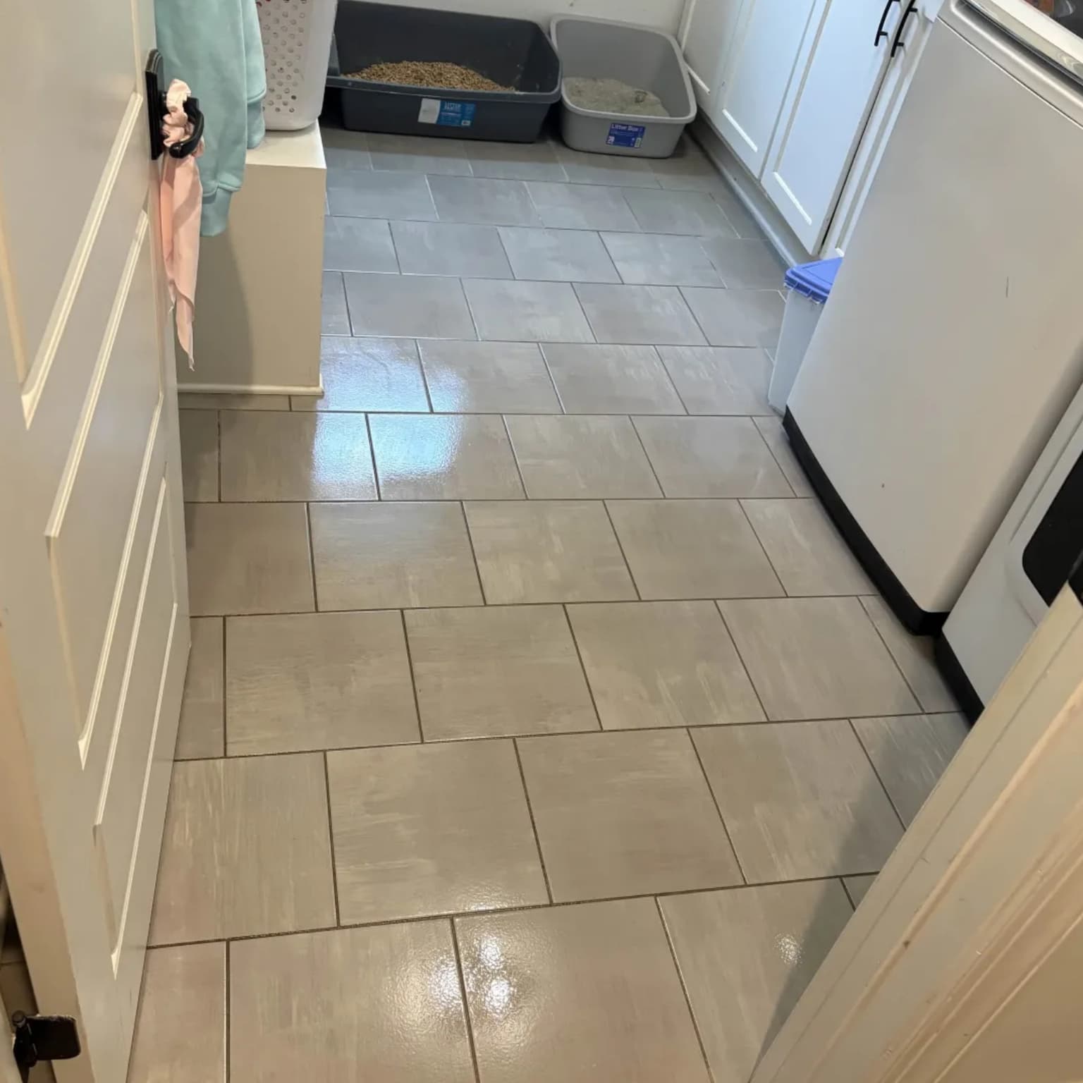 Carpet cleaning in Gladeville, TN