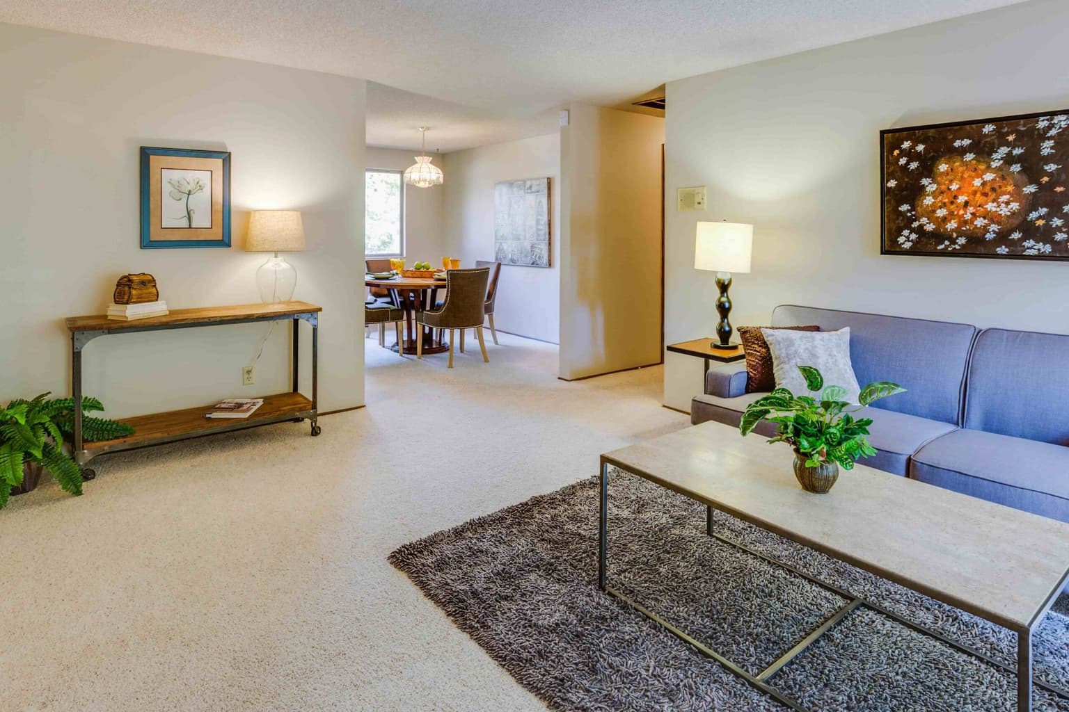 Carpet cleaning in Hendersonville, TN