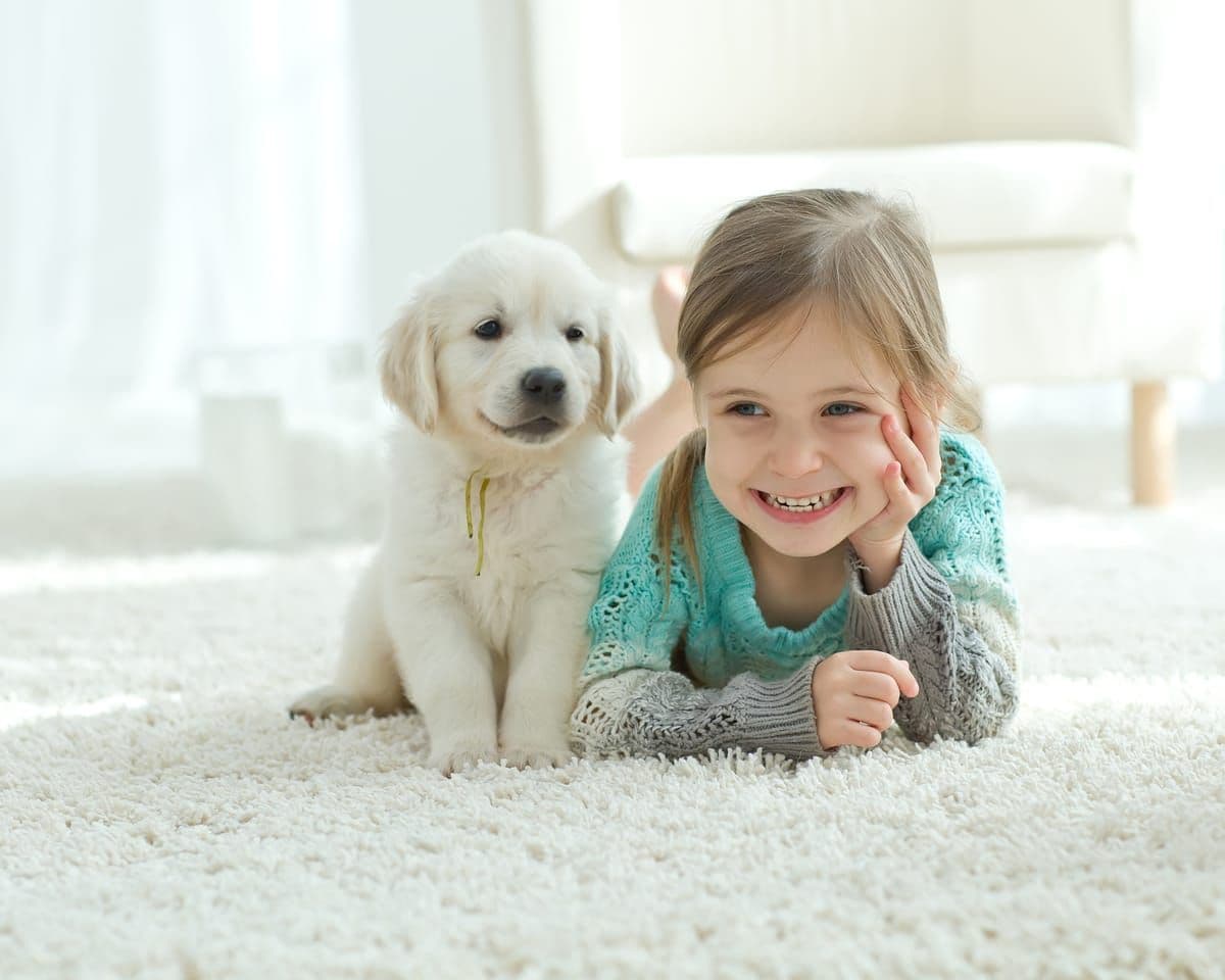 Back-to-School Carpet Cleaning Tips for Hendersonville, TN