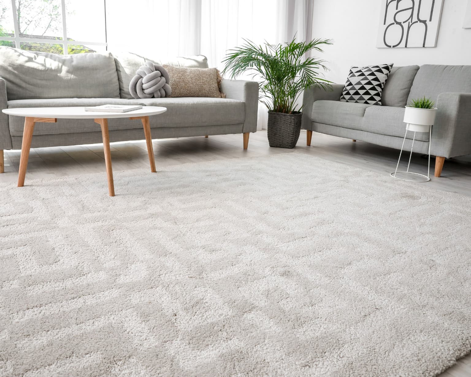 Area Rug Cleaning